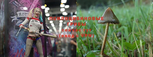 стафф Осинники