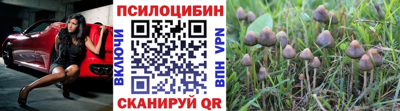 MEGA ссылки  купить   Алапаевск  Псилоцибиновые грибы GOLDEN TEACHER 