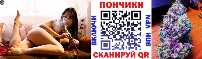 купить наркотики цена  Алапаевск  Конопля планчик 